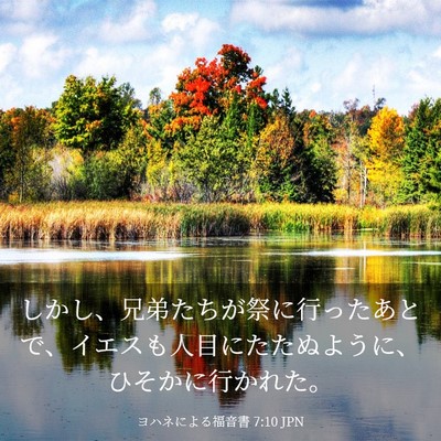 Picture 03 - ヨハネによる福音書 7:10 JPN - しかし、兄弟たちが祭に行ったあと - Bible Verse Picture
