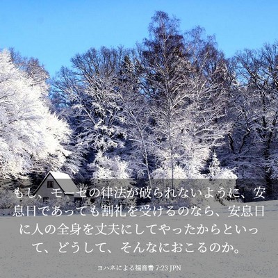 Picture 03 - ヨハネによる福音書 7:23 JPN - もし、モーセの律法が破られないよ - Bible Verse Picture
