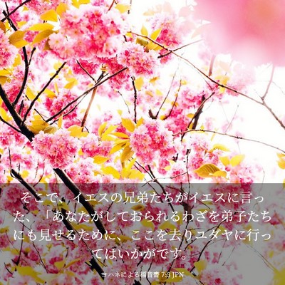 Picture 03 - ヨハネによる福音書 7:3 JPN - そこで、イエスの兄弟たちがイエス - Bible Verse Picture