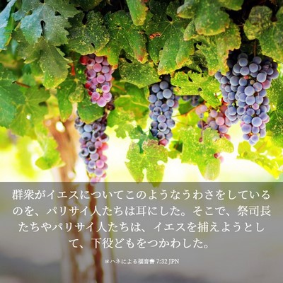 Picture 03 - ヨハネによる福音書 7:32 JPN - 群衆がイエスについてこのようなう - Bible Verse Picture