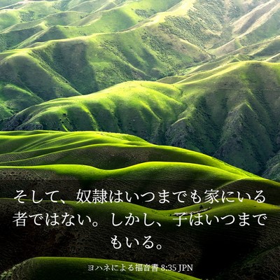 Picture 03 - ヨハネによる福音書 8:35 JPN - そして、奴隷はいつまでも家にいる - Bible Verse Picture