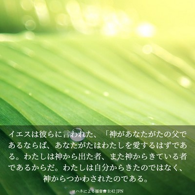 Picture 03 - ヨハネによる福音書 8:42 JPN - イエスは彼らに言われた、「神があ - Bible Verse Picture
