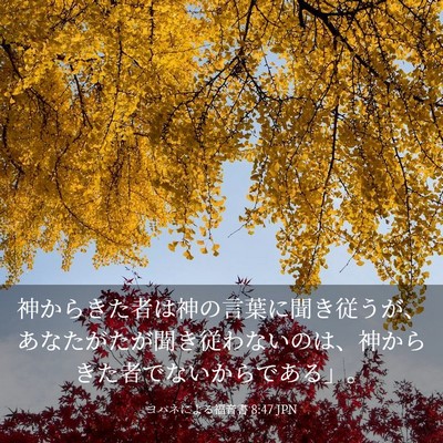 Picture 03 - ヨハネによる福音書 8:47 JPN - 神からきた者は神の言葉に聞き従う - Bible Verse Picture