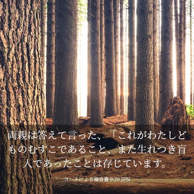 Picture 03 - ヨハネによる福音書 9:20 JPN - 両親は答えて言った、「これがわた - Bible Verse Picture