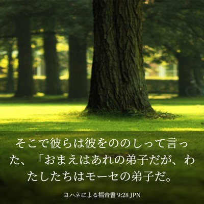 Picture 03 - ヨハネによる福音書 9:28 JPN - そこで彼らは彼をののしって言った - Bible Verse Picture