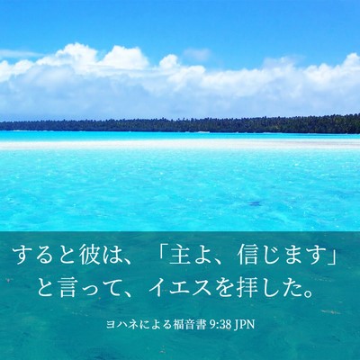 Picture 03 - ヨハネによる福音書 9:38 JPN - すると彼は、「主よ、信じます」と - Bible Verse Picture