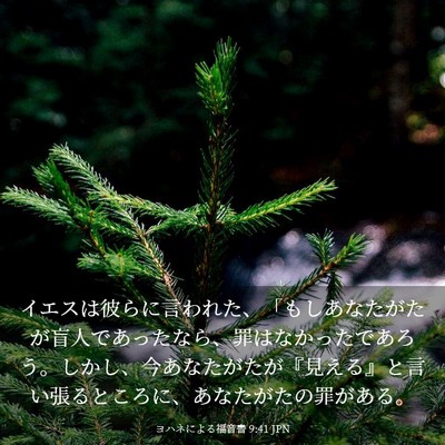 Picture 03 - ヨハネによる福音書 9:41 JPN - イエスは彼らに言われた、「もしあ - Bible Verse Picture