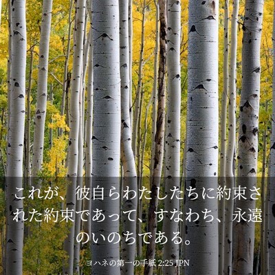 Picture 03 - ヨハネの第一の手紙 2:25 JPN - これが、彼自らわたしたちに約束さ - Bible Verse Picture