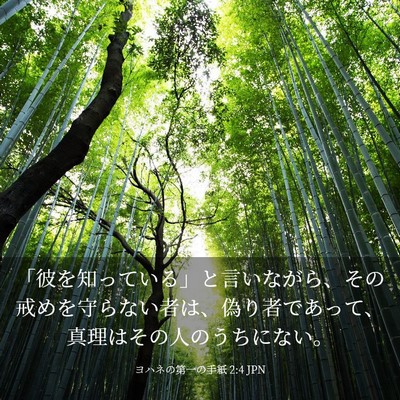 Picture 03 - ヨハネの第一の手紙 2:4 JPN - 「彼を知っている」と言いながら、 - Bible Verse Picture