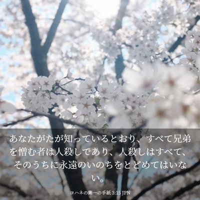 Picture 03 - ヨハネの第一の手紙 3:15 JPN - あなたがたが知っているとおり、す - Bible Verse Picture