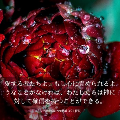 Picture 03 - ヨハネの第一の手紙 3:21 JPN - 愛する者たちよ。もし心に責められ - Bible Verse Picture