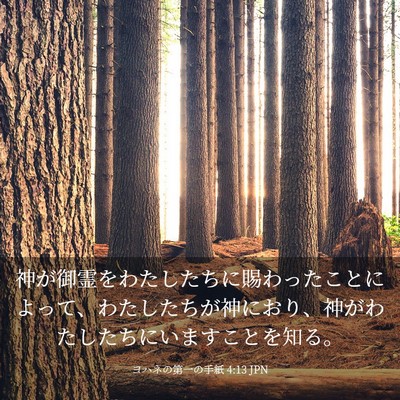Picture 03 - ヨハネの第一の手紙 4:13 JPN - 神が御霊をわたしたちに賜わったこ - Bible Verse Picture