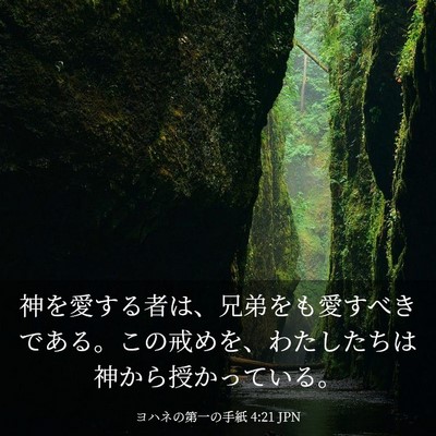 Picture 03 - ヨハネの第一の手紙 4:21 JPN - 神を愛する者は、兄弟をも愛すべき - Bible Verse Picture