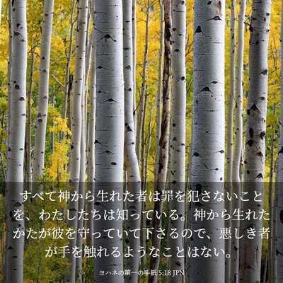 Picture 03 - ヨハネの第一の手紙 5:18 JPN - すべて神から生れた者は罪を犯さな - Bible Verse Picture