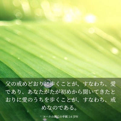 Picture 03 - ヨハネの第二の手紙 1:6 JPN - 父の戒めどおりに歩くことが、すな - Bible Verse Picture