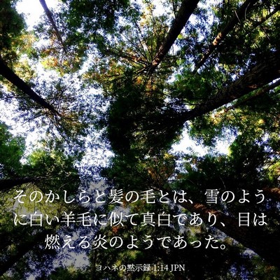 Picture 03 - ヨハネの黙示録 1:14 JPN - そのかしらと髪の毛とは、雪のよう - Bible Verse Picture