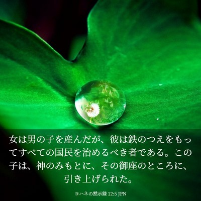 Picture 03 - ヨハネの黙示録 12:5 JPN - 女は男の子を産んだが、彼は鉄のつ - Bible Verse Picture