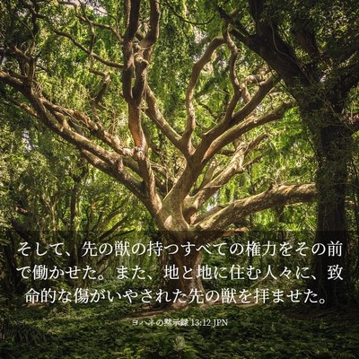 Picture 03 - ヨハネの黙示録 13:12 JPN - そして、先の獣の持つすべての権力 - Bible Verse Picture