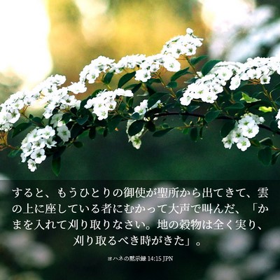 Picture 03 - ヨハネの黙示録 14:15 JPN - すると、もうひとりの御使が聖所か - Bible Verse Picture