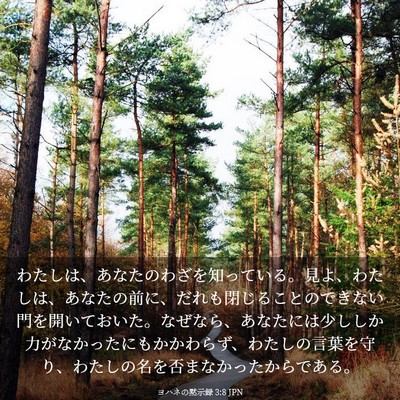 Picture 03 - ヨハネの黙示録 3:8 JPN - わたしは、あなたのわざを知ってい - Bible Verse Picture