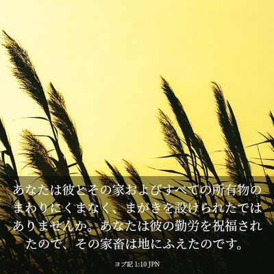 Picture 03 - ヨブ記 1:10 JPN - あなたは彼とその家およびすべての - Bible Verse Picture