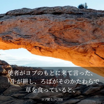 Picture 03 - ヨブ記 1:14 JPN - 使者がヨブのもとに来て言った、「 - Bible Verse Picture