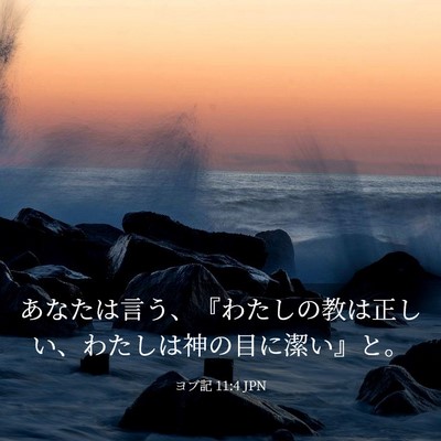 Picture 03 - ヨブ記 11:4 JPN - あなたは言う、『わたしの教は正し - Bible Verse Picture