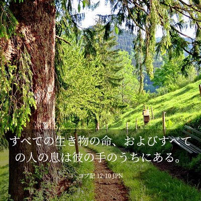 Picture 03 - ヨブ記 12:10 JPN - すべての生き物の命、およびすべて - Bible Verse Picture
