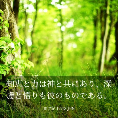 Picture 03 - ヨブ記 12:13 JPN - 知恵と力は神と共にあり、深慮と悟 - Bible Verse Picture