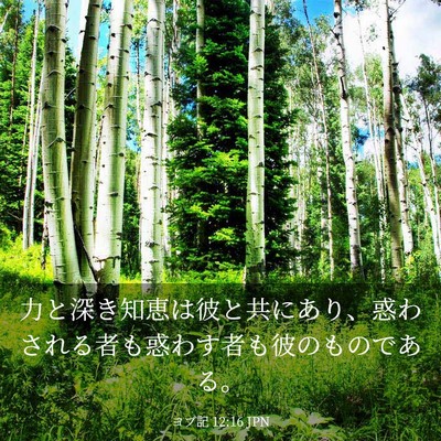 Picture 03 - ヨブ記 12:16 JPN - 力と深き知恵は彼と共にあり、惑わ - Bible Verse Picture