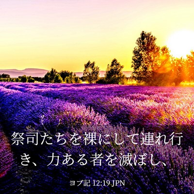 Picture 03 - ヨブ記 12:19 JPN - 祭司たちを裸にして連れ行き、力あ - Bible Verse Picture