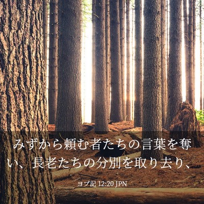 Picture 03 - ヨブ記 12:20 JPN - みずから頼む者たちの言葉を奪い、 - Bible Verse Picture