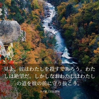 Picture 03 - ヨブ記 13:15 JPN - 見よ、彼はわたしを殺すであろう。 - Bible Verse Picture