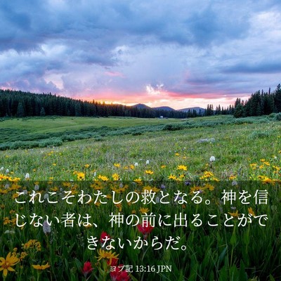 Picture 03 - ヨブ記 13:16 JPN - これこそわたしの救となる。神を信 - Bible Verse Picture