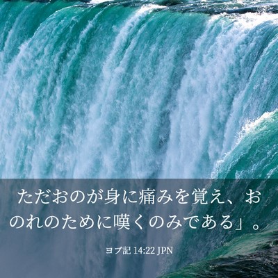 Picture 03 - ヨブ記 14:22 JPN - ただおのが身に痛みを覚え、おのれ - Bible Verse Picture
