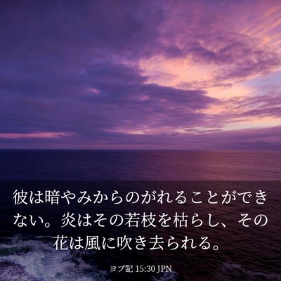 Picture 03 - ヨブ記 15:30 JPN - 彼は暗やみからのがれることができ - Bible Verse Picture