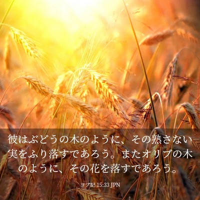 Picture 03 - ヨブ記 15:33 JPN - 彼はぶどうの木のように、その熟さ - Bible Verse Picture