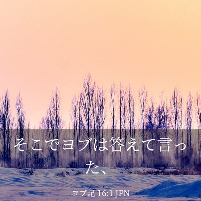 Picture 03 - ヨブ記 16:1 JPN - そこでヨブは答えて言った、 - Bible Verse Picture