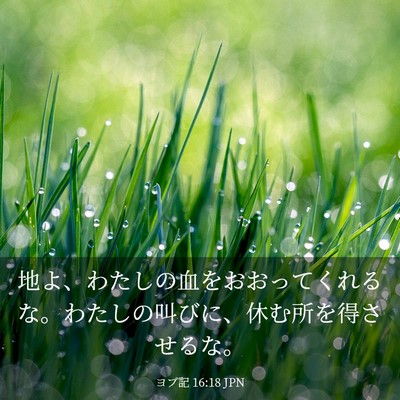 Picture 03 - ヨブ記 16:18 JPN - 地よ、わたしの血をおおってくれる - Bible Verse Picture