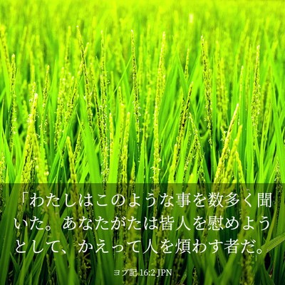 Picture 03 - ヨブ記 16:2 JPN - 「わたしはこのような事を数多く聞 - Bible Verse Picture