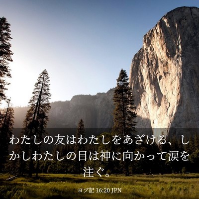 Picture 03 - ヨブ記 16:20 JPN - わたしの友はわたしをあざける、し - Bible Verse Picture