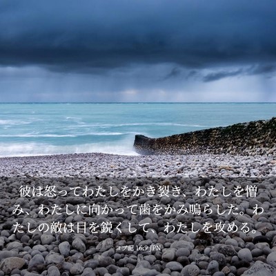 Picture 03 - ヨブ記 16:9 JPN - 彼は怒ってわたしをかき裂き、わた - Bible Verse Picture