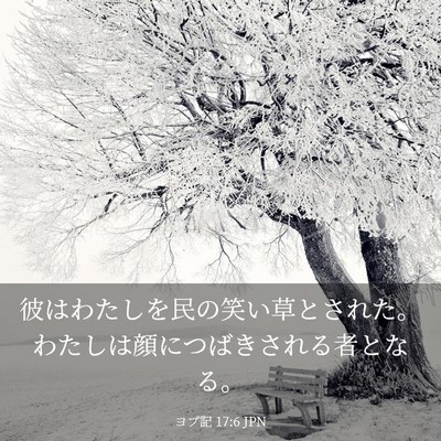 Picture 03 - ヨブ記 17:6 JPN - 彼はわたしを民の笑い草とされた。 - Bible Verse Picture