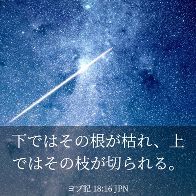 Picture 03 - ヨブ記 18:16 JPN - 下ではその根が枯れ、上ではその枝 - Bible Verse Picture