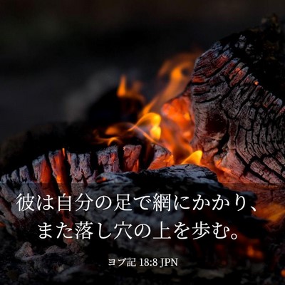 Picture 03 - ヨブ記 18:8 JPN - 彼は自分の足で網にかかり、また落 - Bible Verse Picture