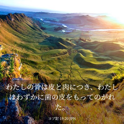 Picture 03 - ヨブ記 19:20 JPN - わたしの骨は皮と肉につき、わたし - Bible Verse Picture