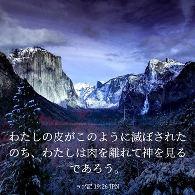 Picture 03 - ヨブ記 19:26 JPN - わたしの皮がこのように滅ぼされた - Bible Verse Picture