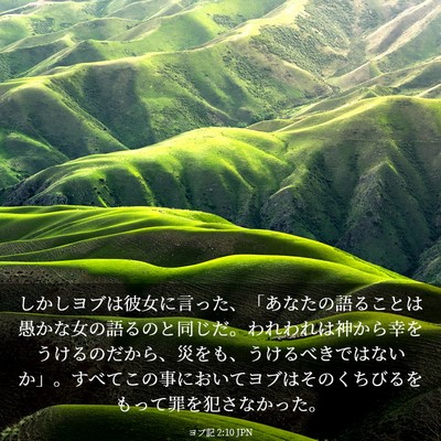 Picture 03 - ヨブ記 2:10 JPN - しかしヨブは彼女に言った、「あな - Bible Verse Picture