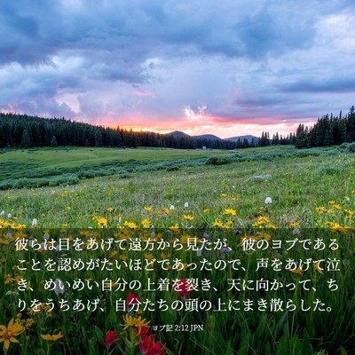 Picture 03 - ヨブ記 2:12 JPN - 彼らは目をあげて遠方から見たが、 - Bible Verse Picture