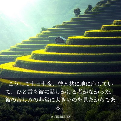 Picture 03 - ヨブ記 2:13 JPN - こうして七日七夜、彼と共に地に座 - Bible Verse Picture